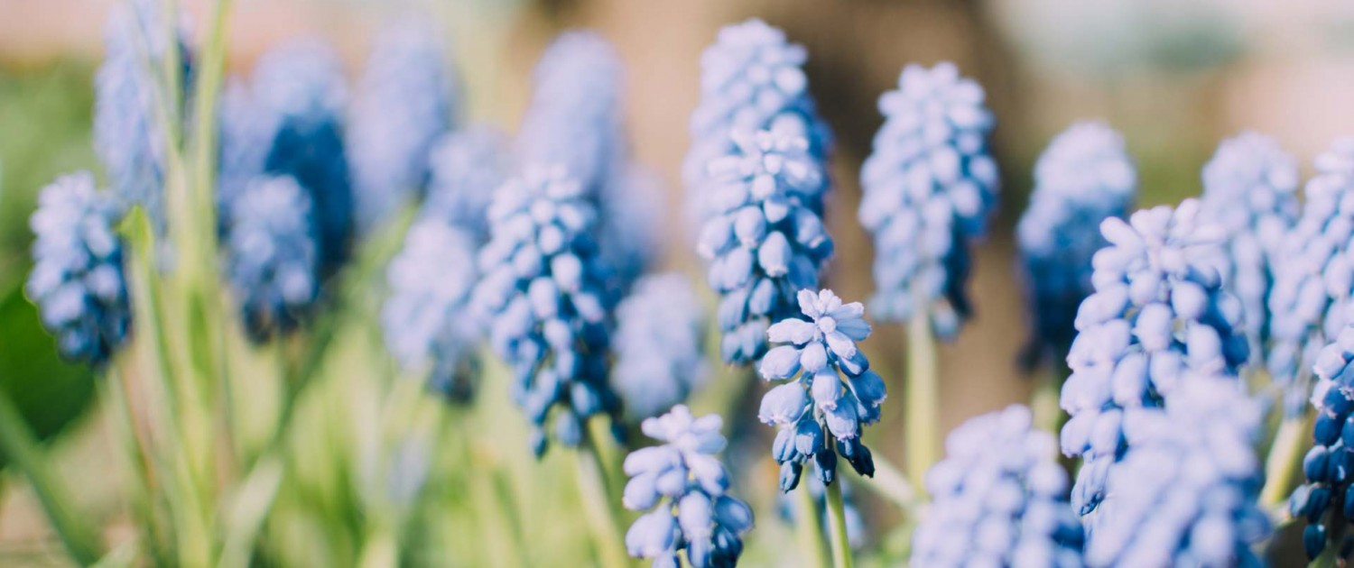 photo-1430141954097-9d3abfe6147a